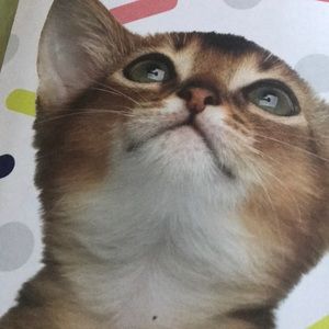 Meet your Posher, Guylaine